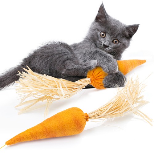 Canadiancat company - canadiancat,
