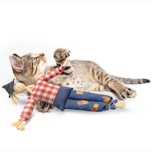 Canadiancat company - company, |