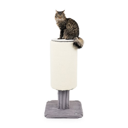 Canadiancat company - canadiancat,