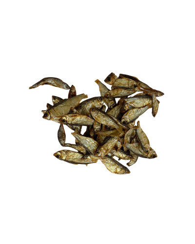 Sprotten fisch sprotte - sprotten,