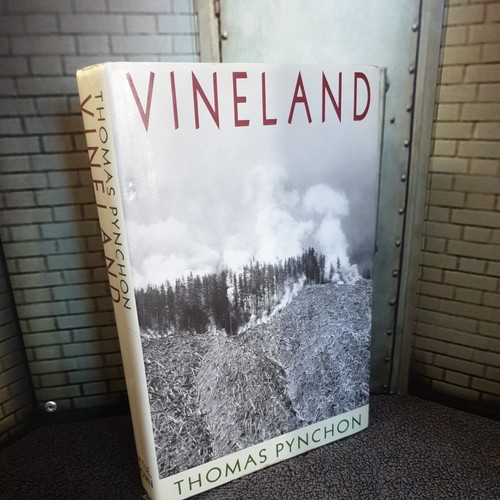 Vineland buch little brown - little,,