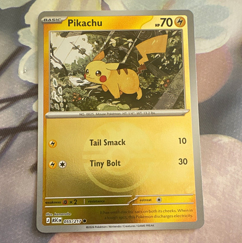 The pokémon company - the,